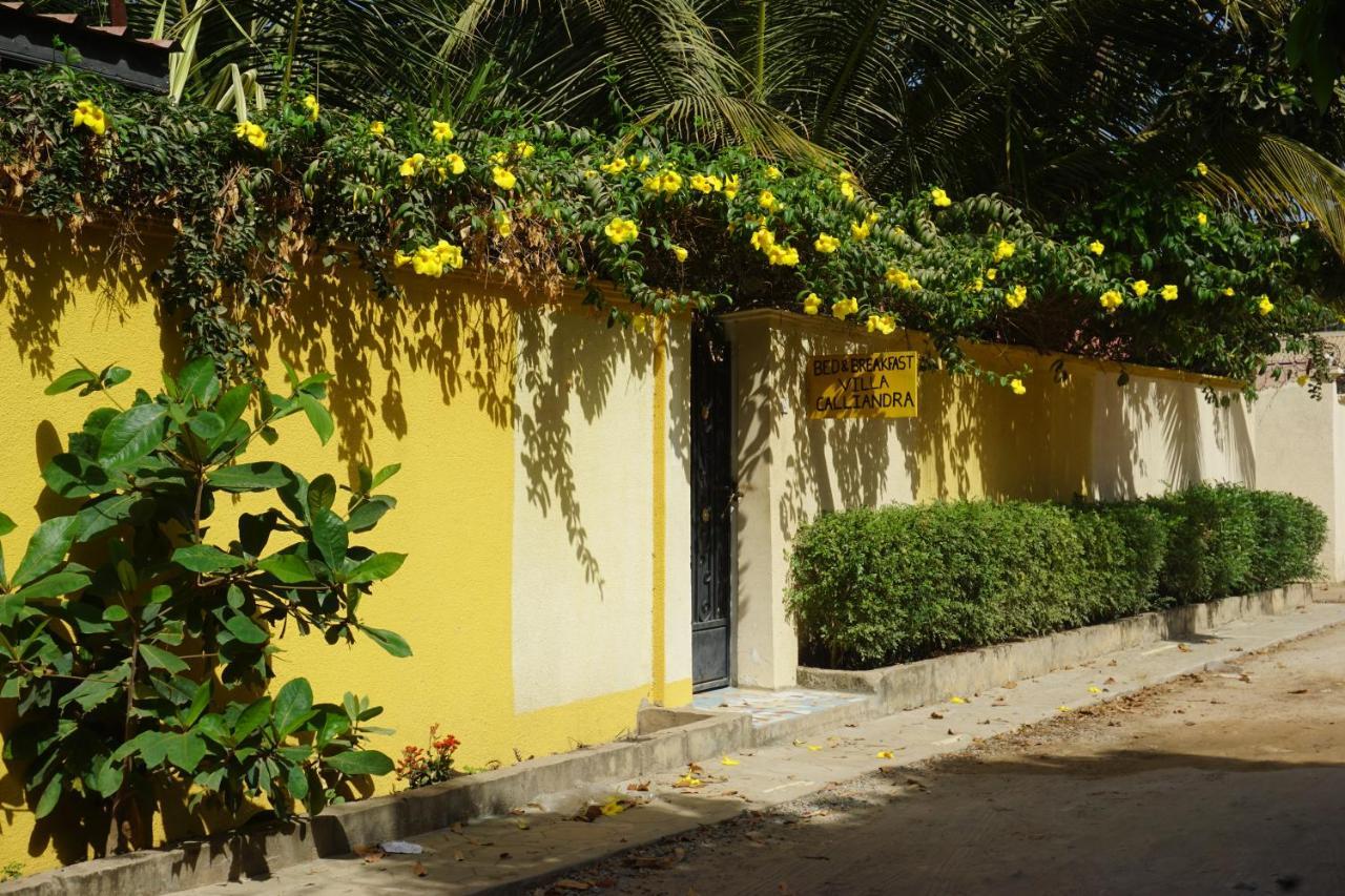 B & B Villa Calliandra Bijilo Exterior photo